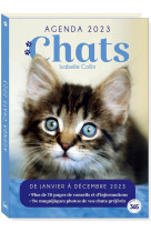 Agenda loisirs chats 2023 avec 70 pages d-informations et de conseils sur les chats