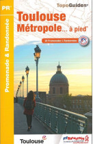 Toulouse metropole... a pied - p311