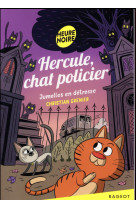 Hercule, chat policier - t03 - hercule, chat policier - jumelles en detresse