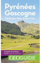 Pyrenees gascogne - toulouse, pau, auch, foix